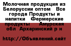 Молочная продукция из Белоруссии оптом - Все города Продукты и напитки » Фермерские продукты   . Амурская обл.,Архаринский р-н